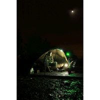 Fox Halo multi colour headtorch