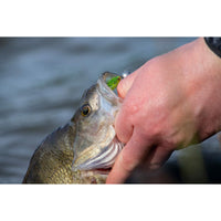 Fox Rage Micro Jig Heads 5pcs