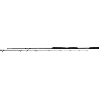 Fox Rage Prism X Catfish Spin 250cm 50-180g
