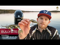 WEST'S BULLYBITE CRANKBAIT