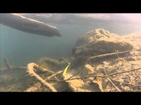 Molix RA Shad 3.8" Scented Soft Swimbait