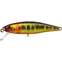 ILLEX Tiny Fry 38 SP