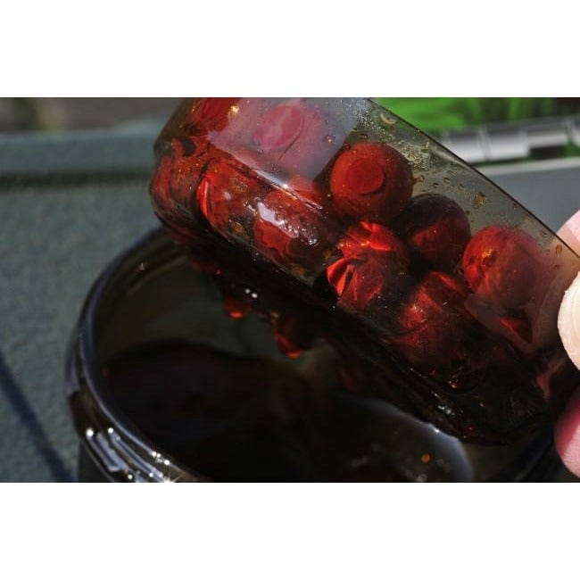 Korda Infuza