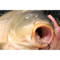 Korda Mixa