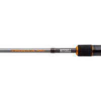 Mitchell TRAXX MX2 Lure Spinning