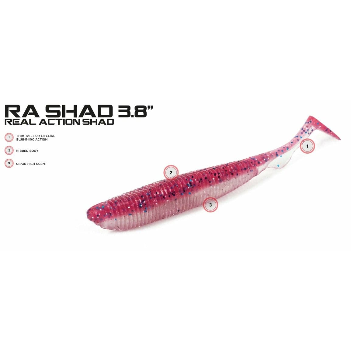 Molix Scented Soft Bait Lure RA SHAD 3.8"