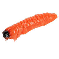 MOLIX Trout Fishing Soft Bait Lure CAIMANO WORM 1.5