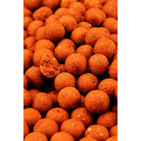 Northern Baits - Evolution bait