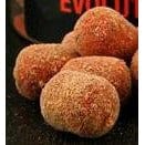 Northern Baits -  Evolution Boosted Hookbaits