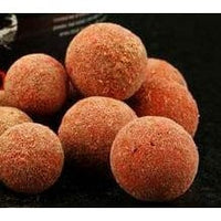 Northern Baits -  Evolution Boosted Hookbaits
