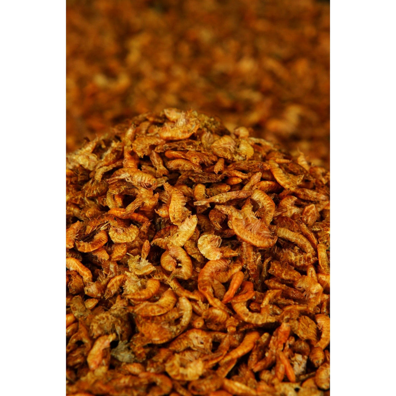 Northern Baits - Gammarus shrimps 400ml
