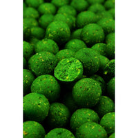 Northern Baits - Milky Amino Green Kiwi - 1 kg