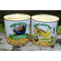 PESCAVIVA Sweetcorn Pineapple Bannana 3kg Can