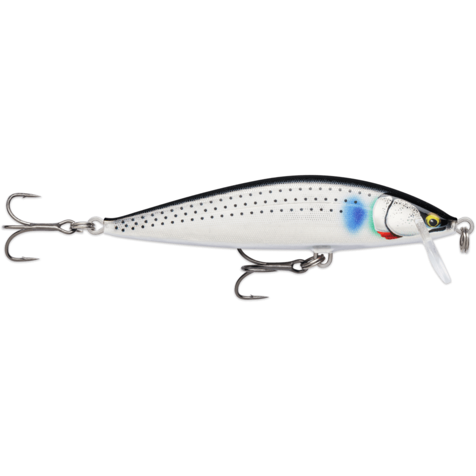 RAPALA CountDown Elite 5.5cm # CDE55-GDRB Lures buy at Fishingshop