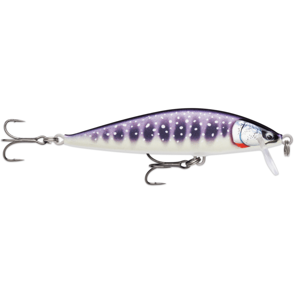 RAPALA Countdown Elite CDE95