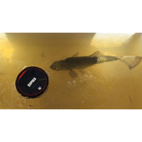RAPALA Floating Aerator