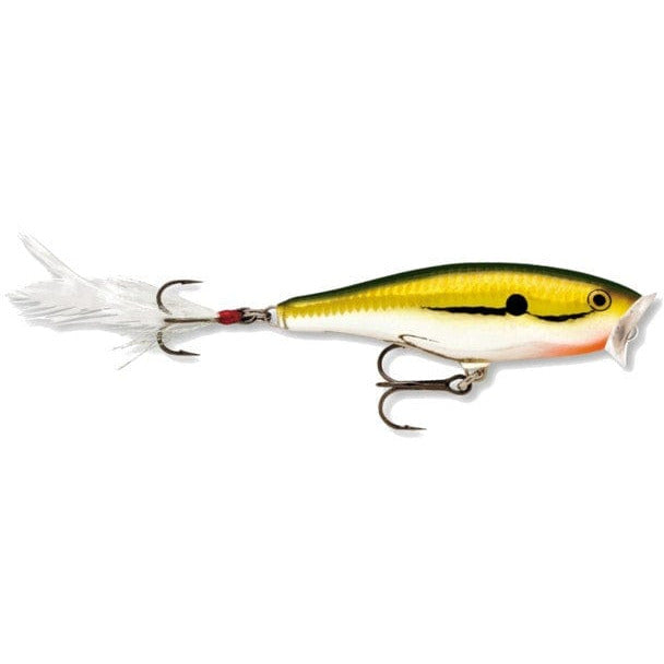 Rapala Skitter Pop: Test and Review 