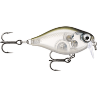 Rapala X-Light Crank Shallow Runner FNCS03