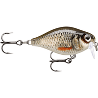 Rapala X-Light Crank Shallow Runner FNCS03