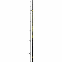 Black Cat Perfect Passion Spin 2,70m 60-200g