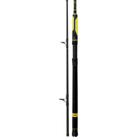Black Cat Perfect Passion Spin 2,70m 60-200g