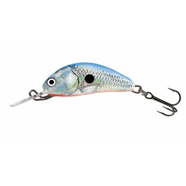 SALMO Hornet Floating 3.5cm