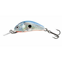 SALMO Hornet Floating 3.5cm