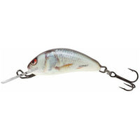 SALMO Hornet Sinking 2.5cm