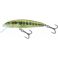 SALMO Minnow 6cm Floating