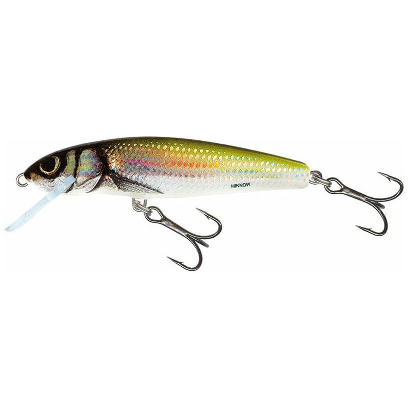 SALMO Minnow 6cm Floating