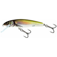 SALMO Minnow 6cm Floating
