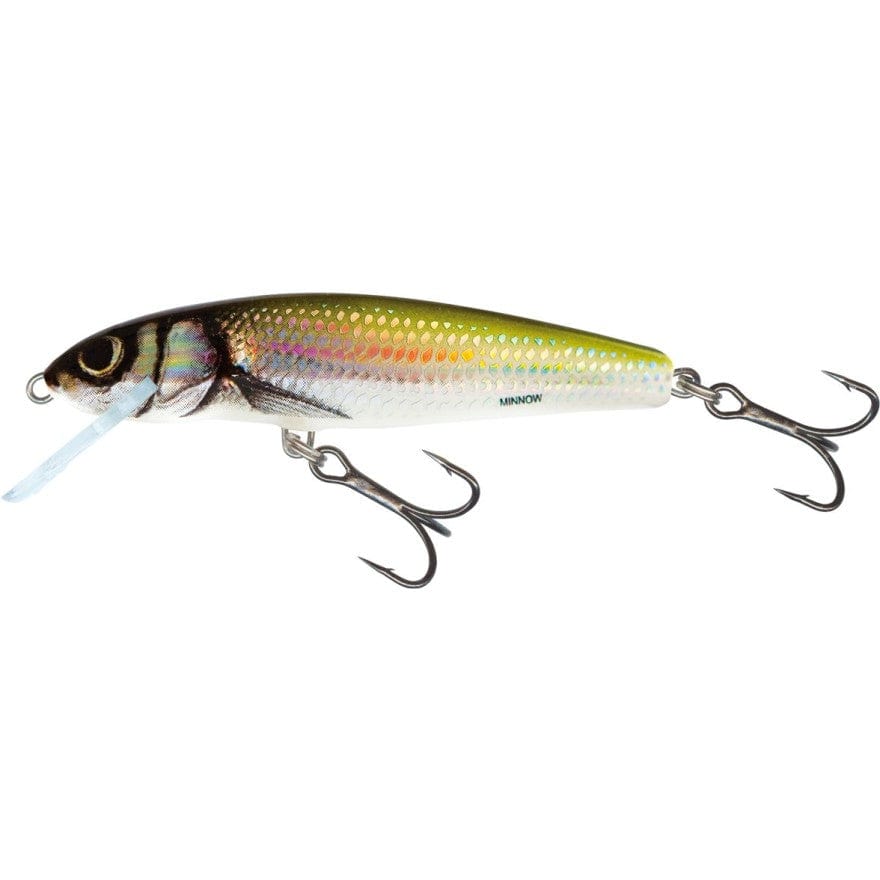 SALMO Minnow Sinking 7cm 8g