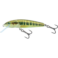 SALMO Minnow Sinking 7cm 8g