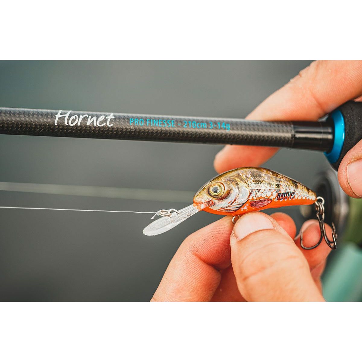 SALMO Salmo Hornet Pro Finesse 210cm 3-14g