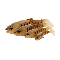 Savage Gear Craft Cannibal Paddletail 10.5cm 12g