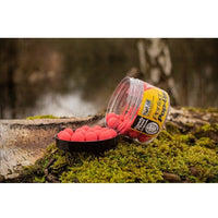 SOLAR Candy Floss Pop Ups 18mm
