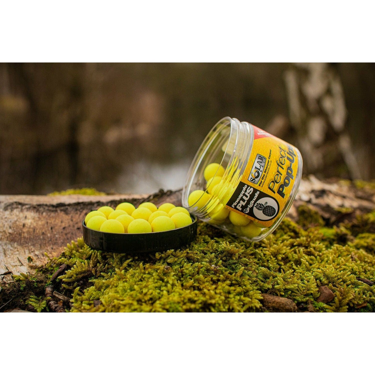 SOLAR NEW Pop-Ups 14mm Pineapple