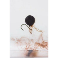 Sonubaits Oozing Floaters - Fishmeal