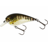 Westin BassBite 1.5 Squarebill 6cm 13g Floating