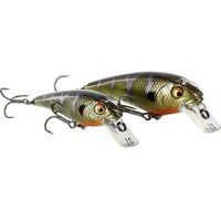 WESTIN BULLYBITE CRANKBAIT